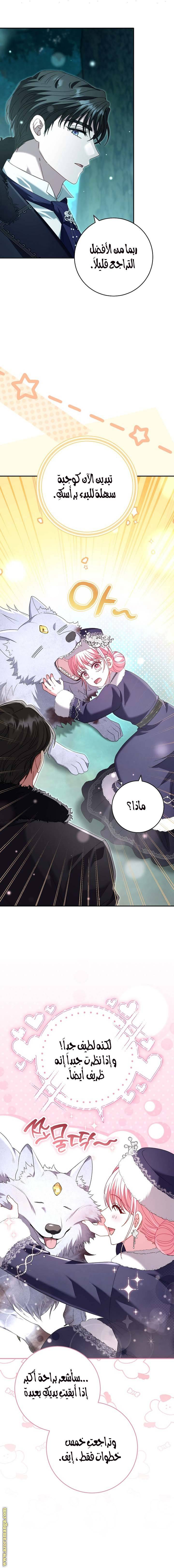 الصفحة 12