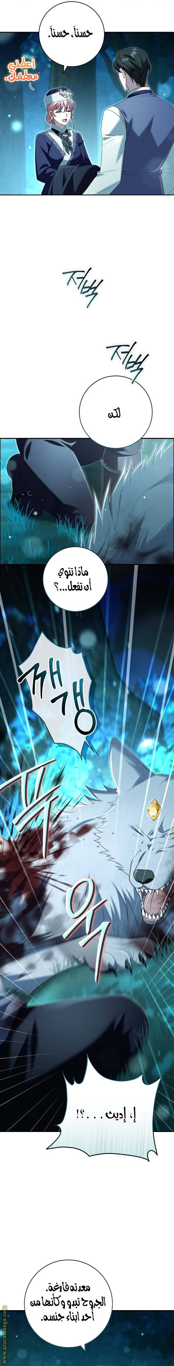 الصفحة 13