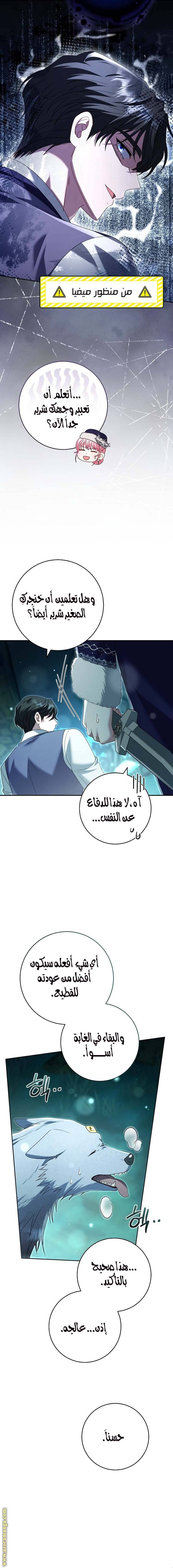 الصفحة 15
