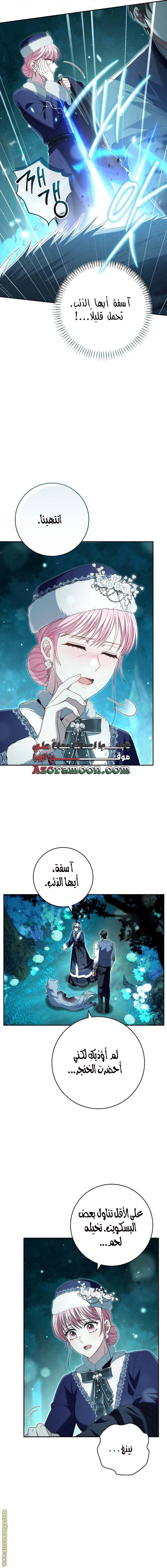الصفحة 16