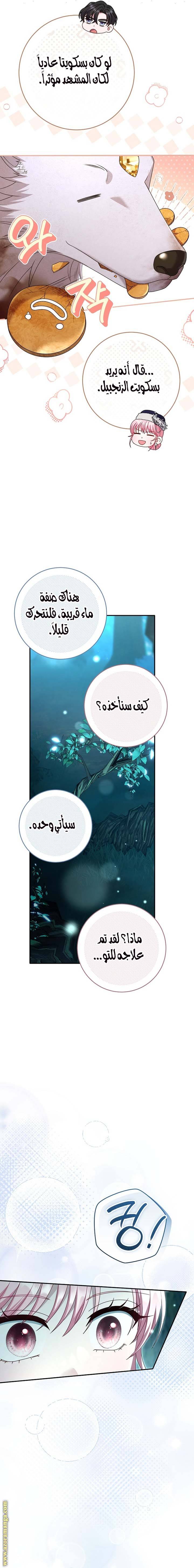 الصفحة 17