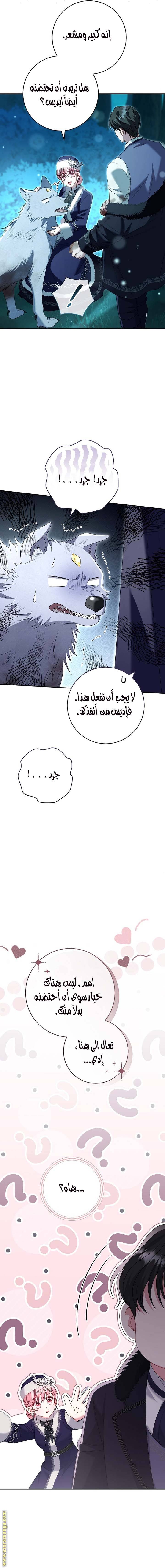 الصفحة 20