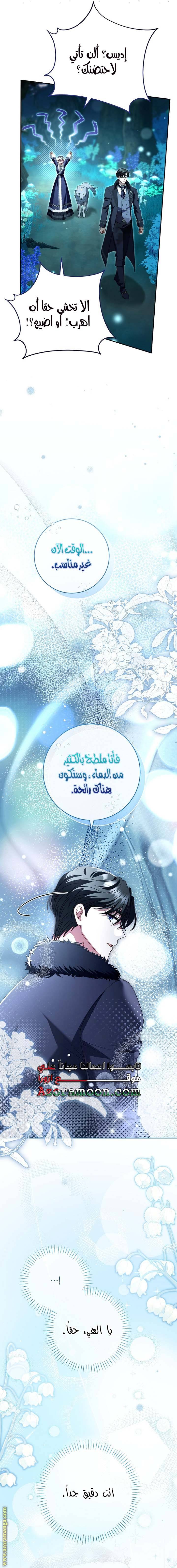 الصفحة 21