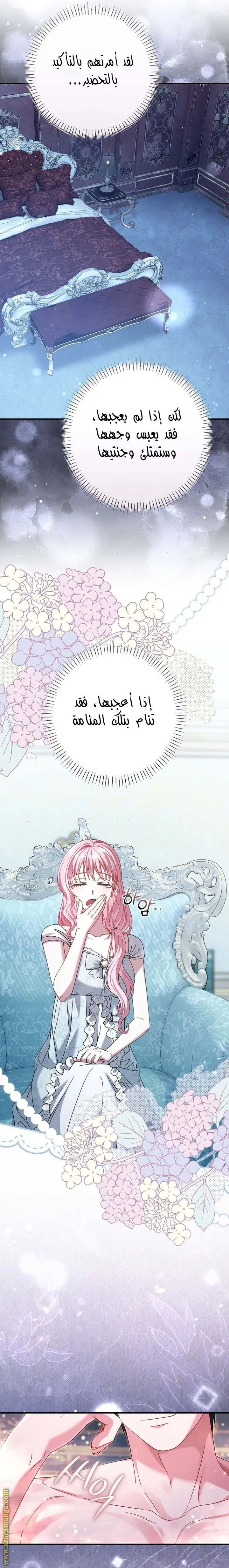 الصفحة 19