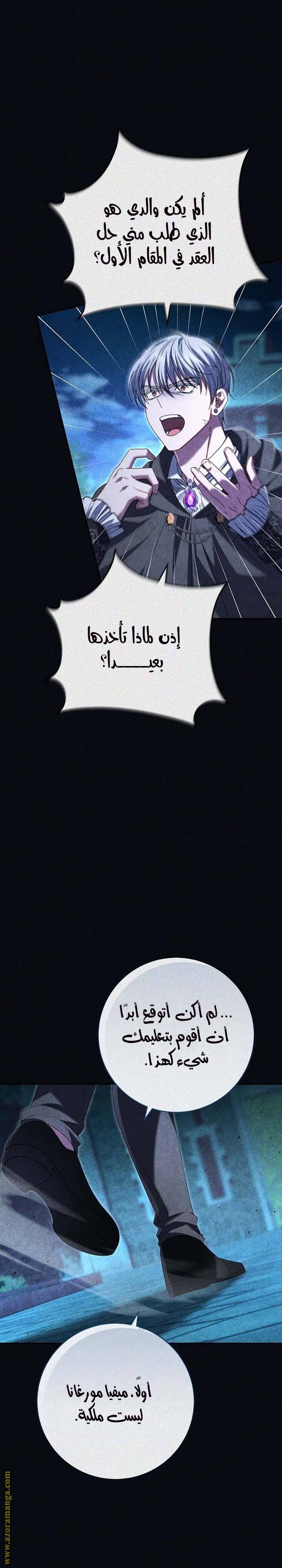 الصفحة 22