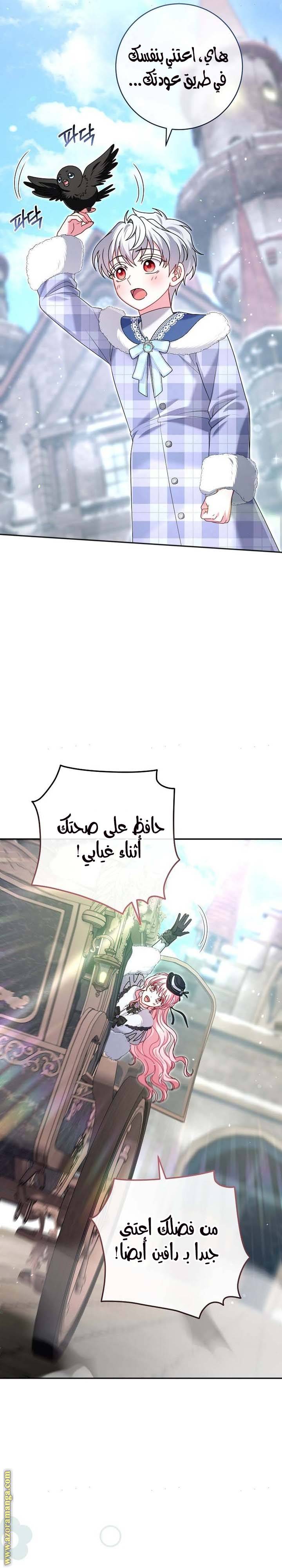 الصفحة 43