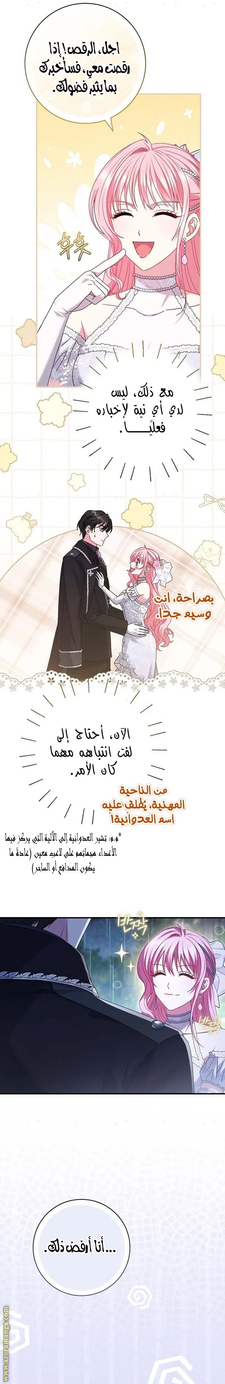 الصفحة 20