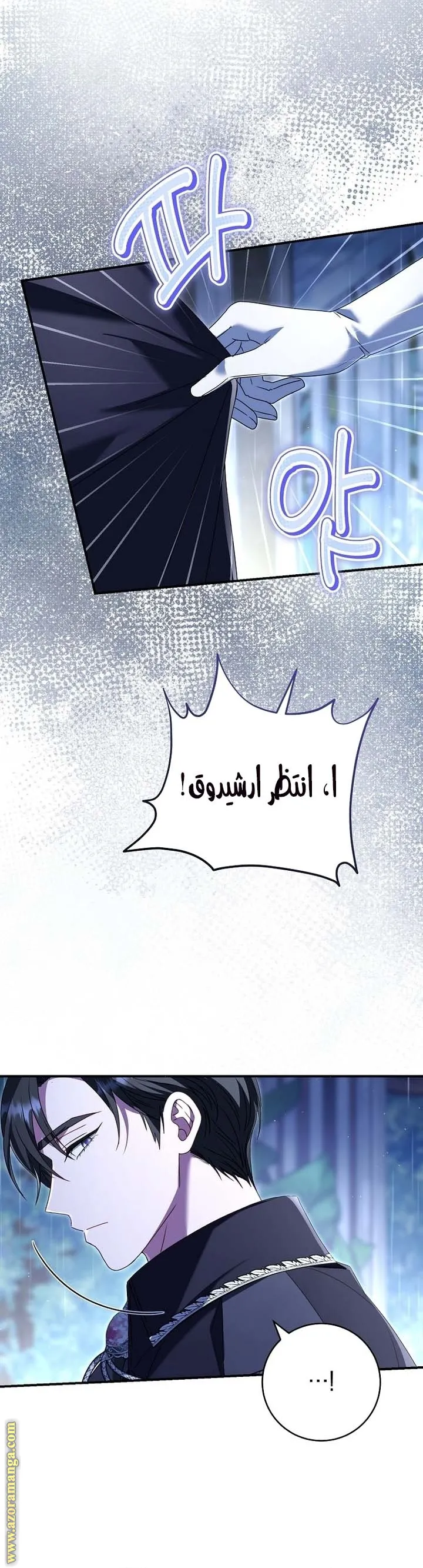 الصفحة 25