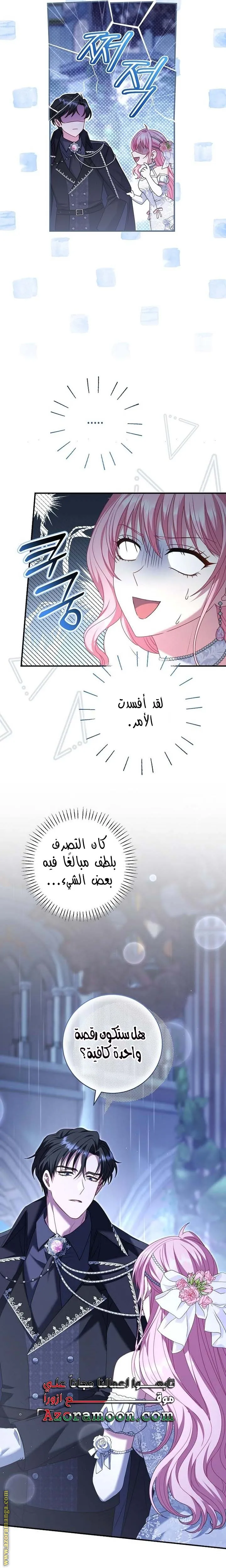 الصفحة 27