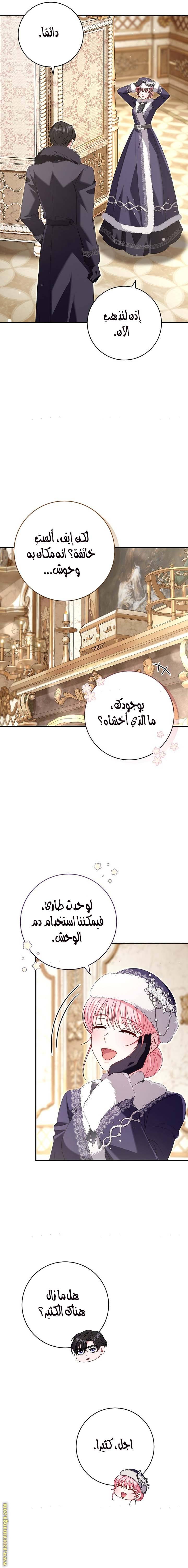 الصفحة 25