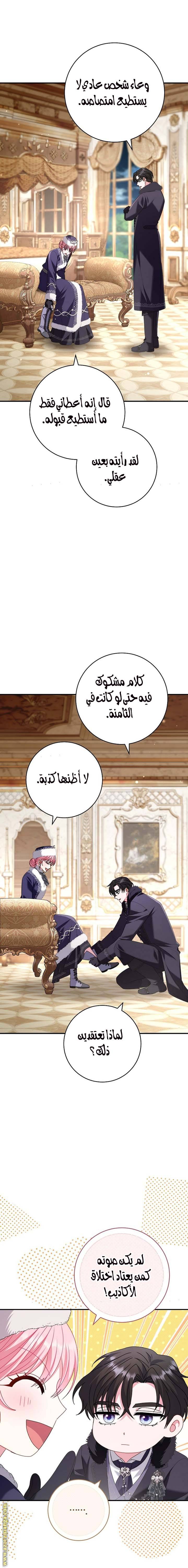 الصفحة 26