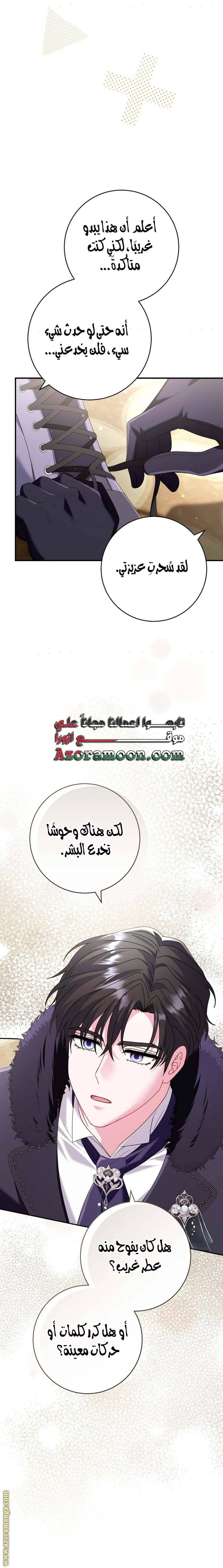 الصفحة 27