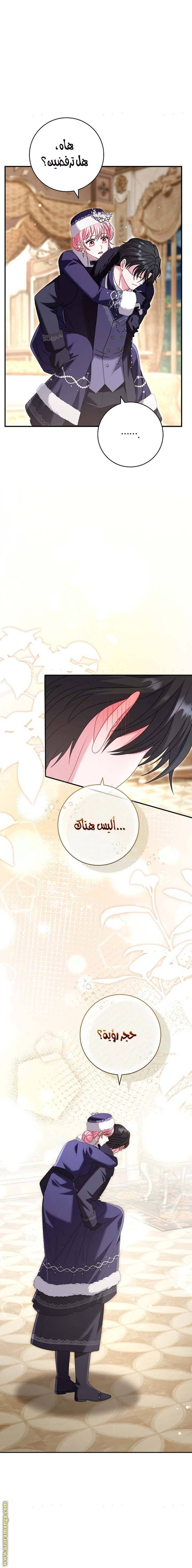 الصفحة 29