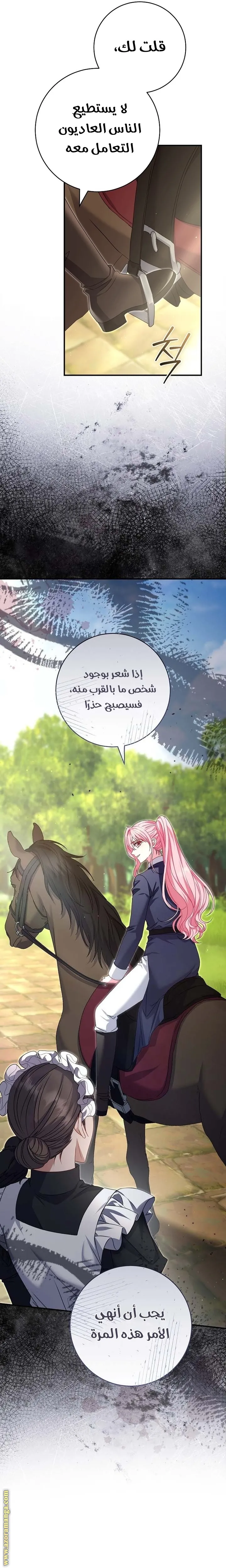 الصفحة 11