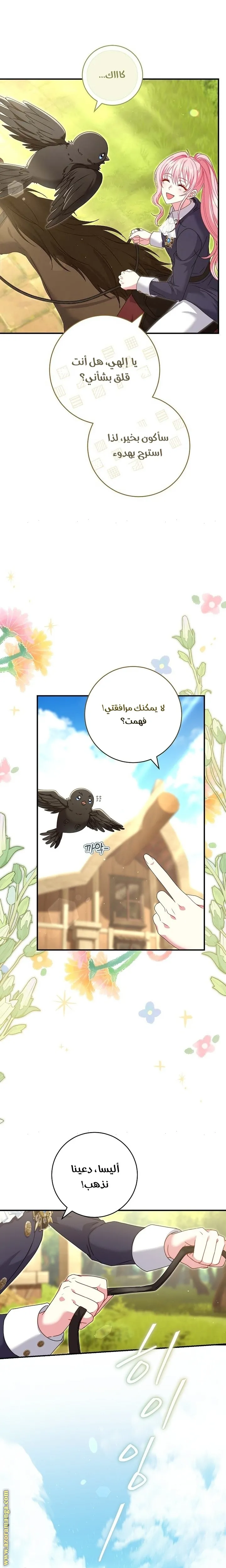 الصفحة 12