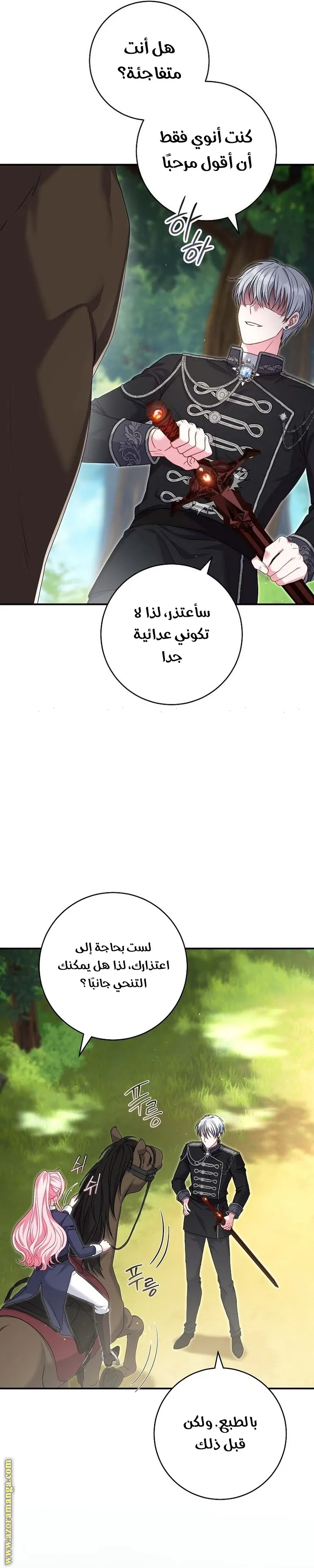الصفحة 16