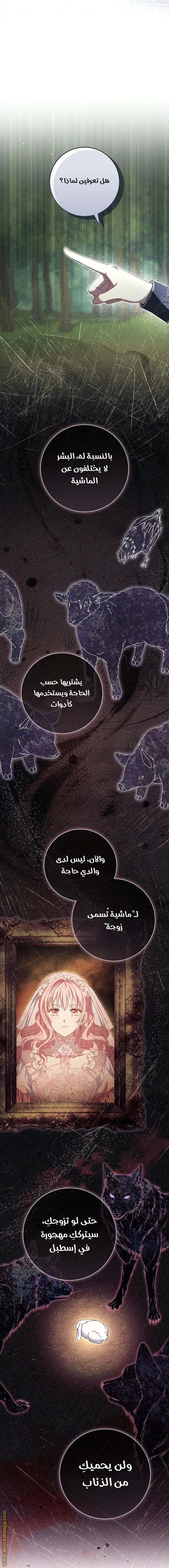 الصفحة 19