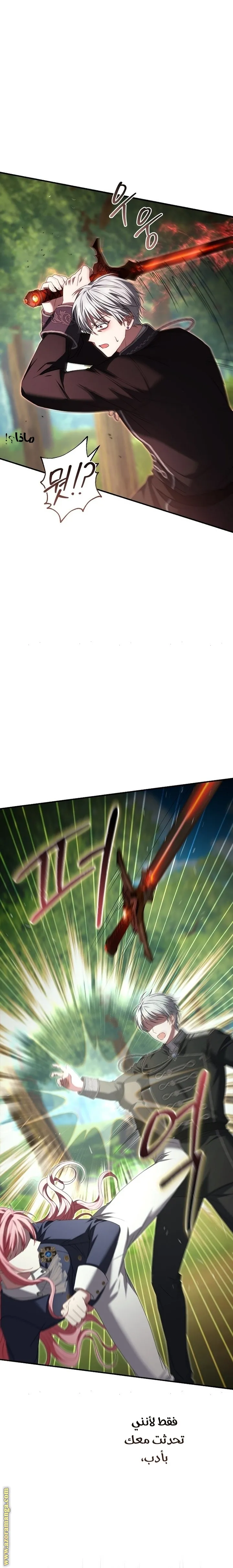 الصفحة 27
