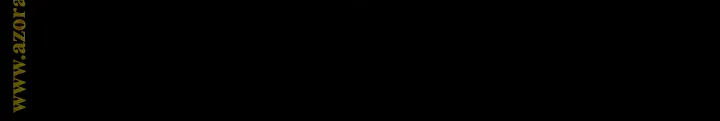 الصفحة 29