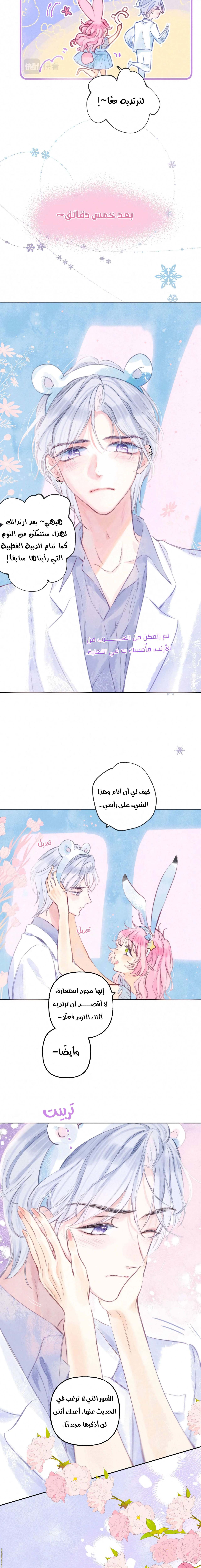 الصفحة 11