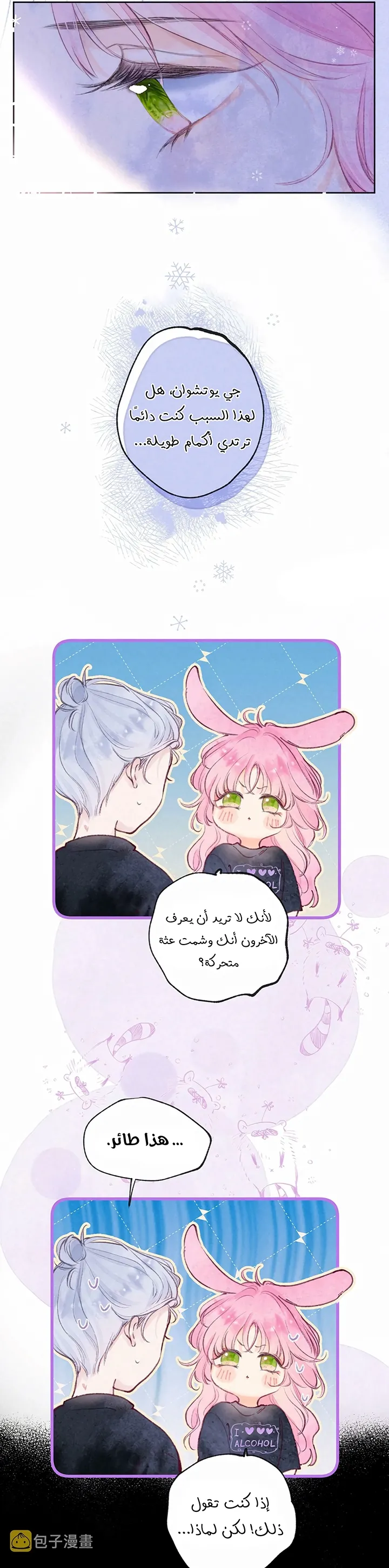 الصفحة 13