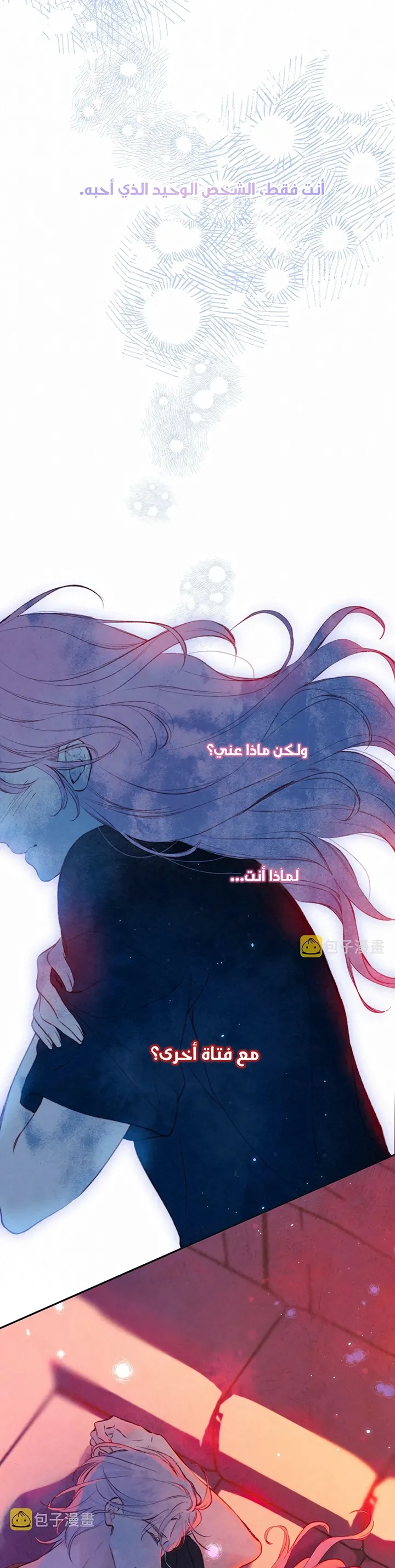 الصفحة 25