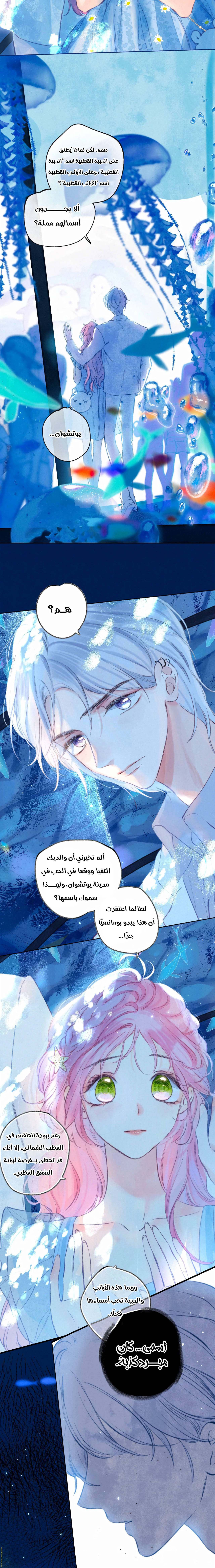 الصفحة 11