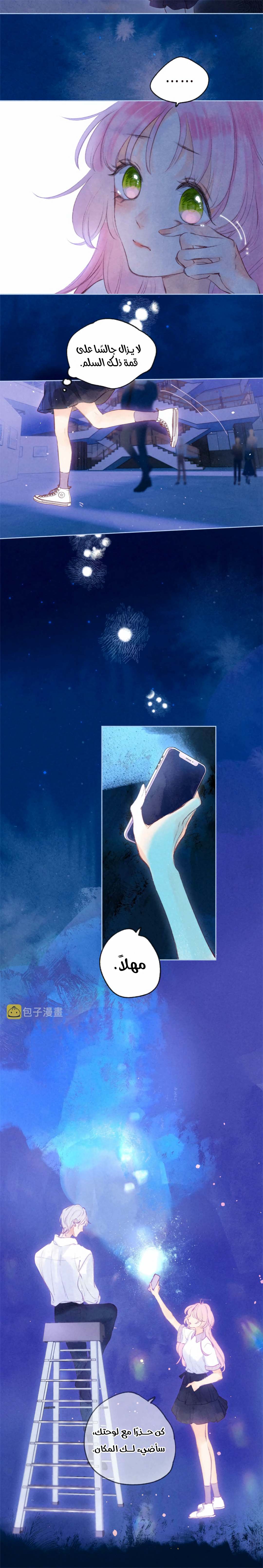 الصفحة 3