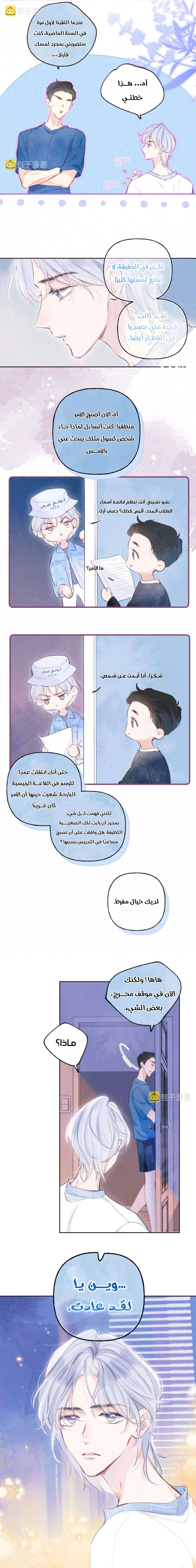 الصفحة 17