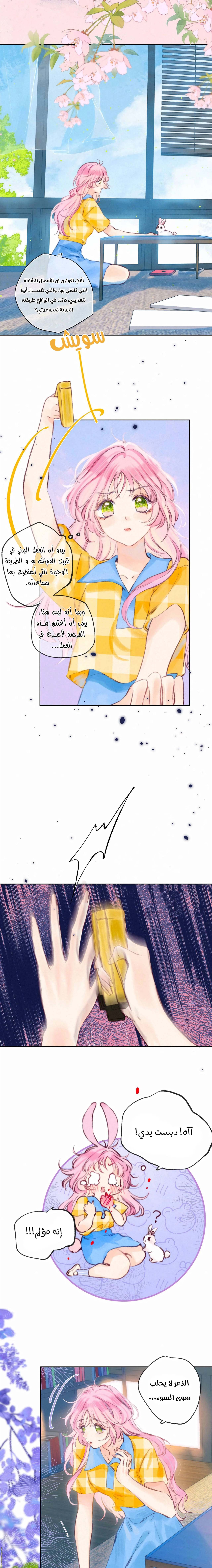 الصفحة 8