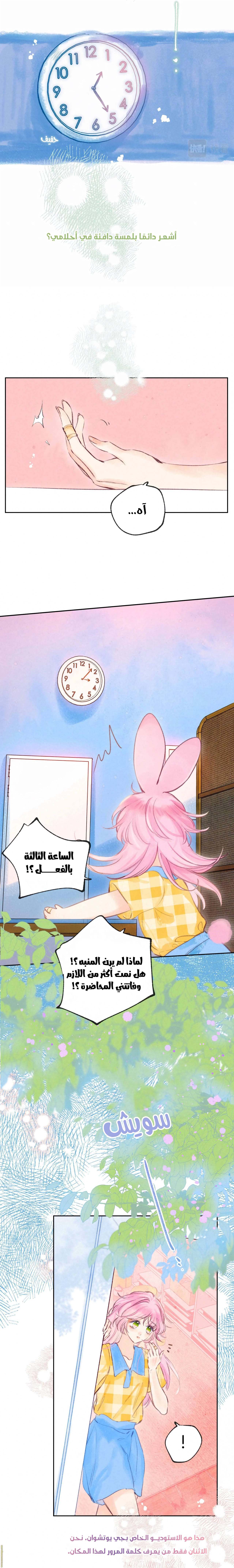 الصفحة 10