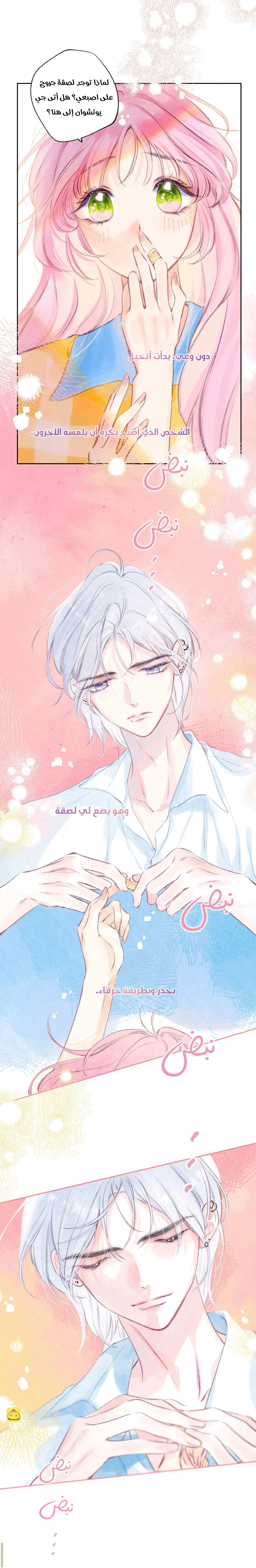 الصفحة 11
