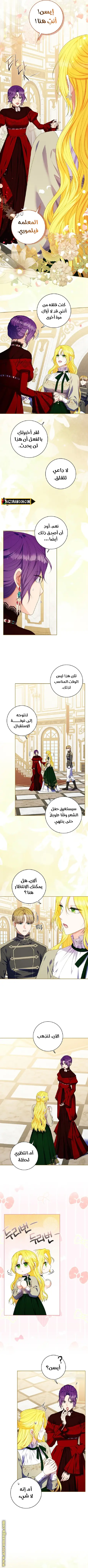 الصفحة 3
