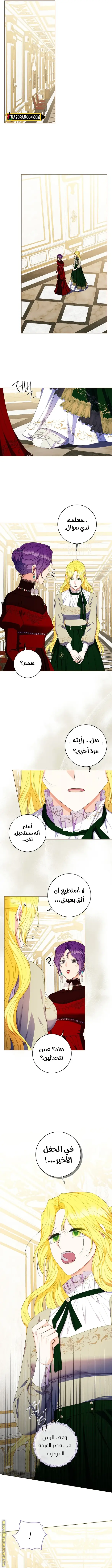 الصفحة 7