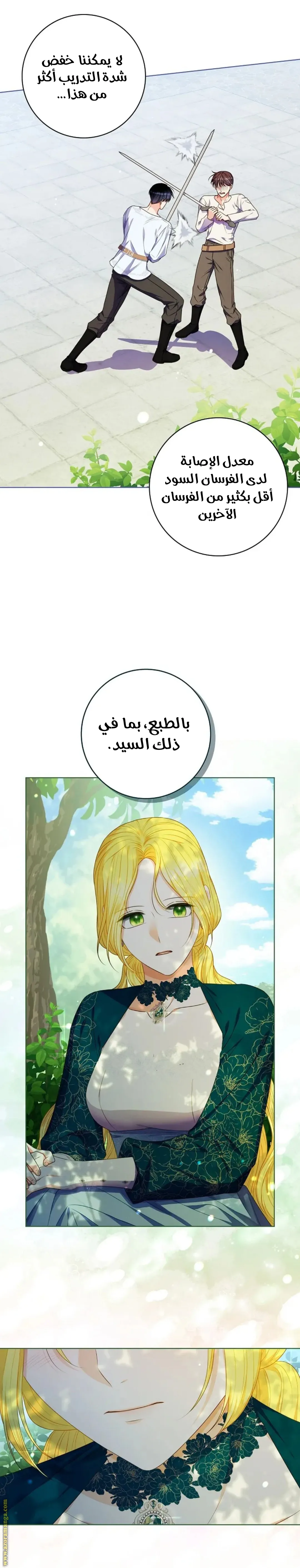 الصفحة 14
