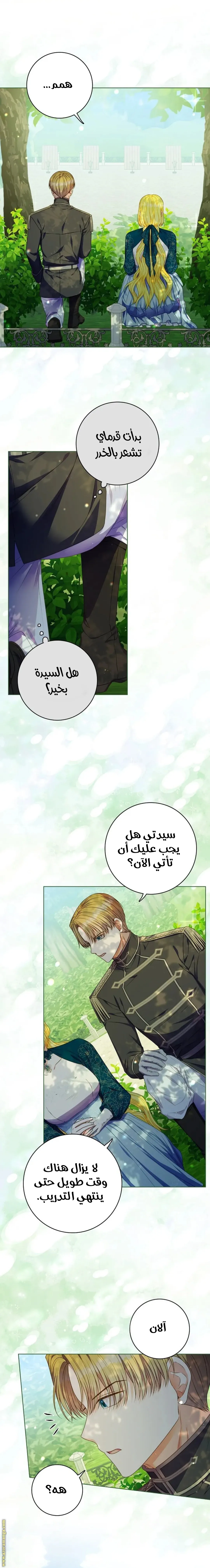 الصفحة 15