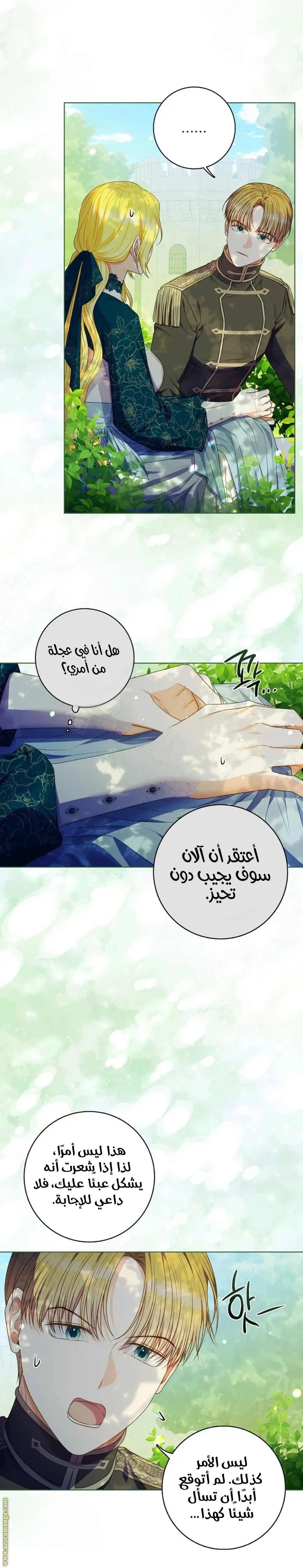 الصفحة 17