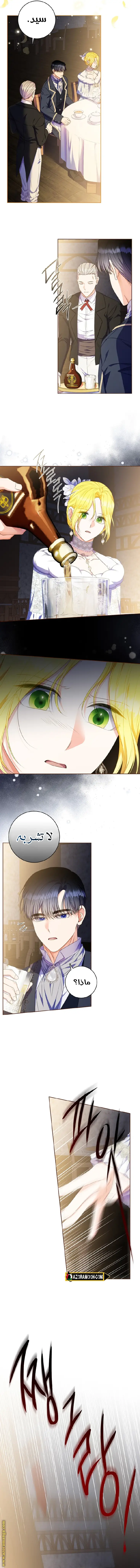 الصفحة 3