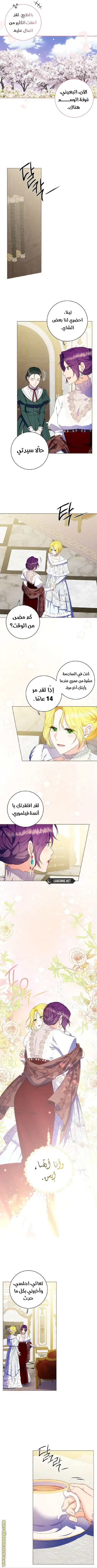 الصفحة 6