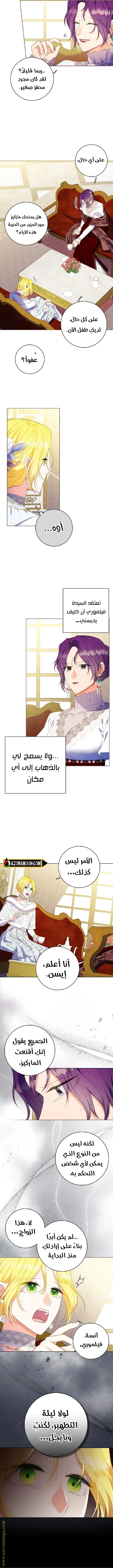 الصفحة 8