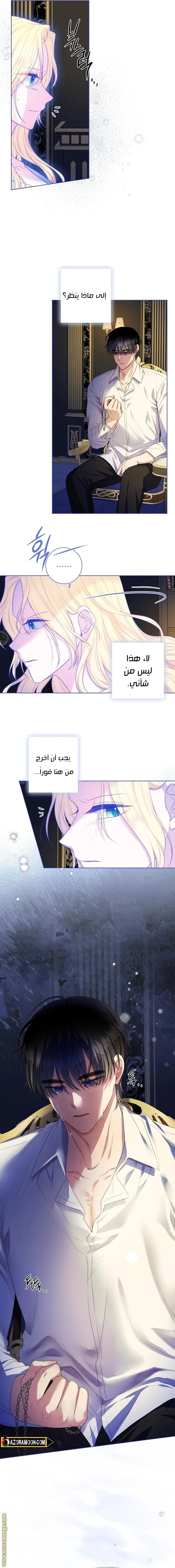الصفحة 11
