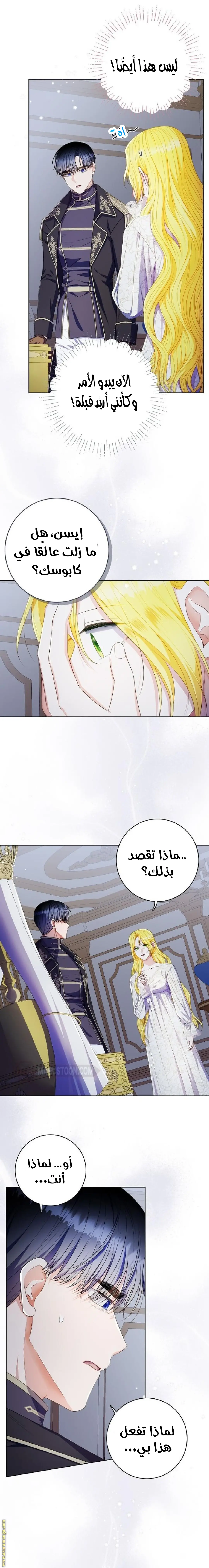 الصفحة 13