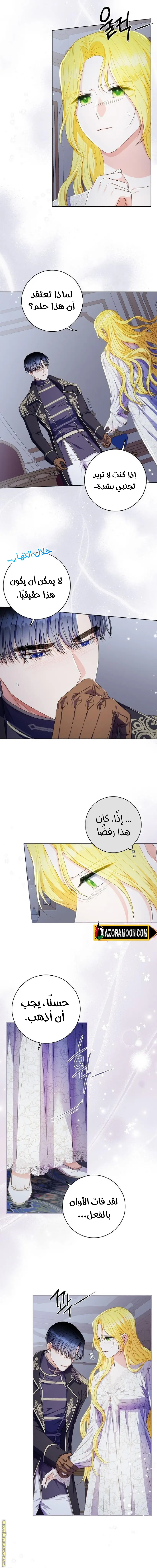 الصفحة 14
