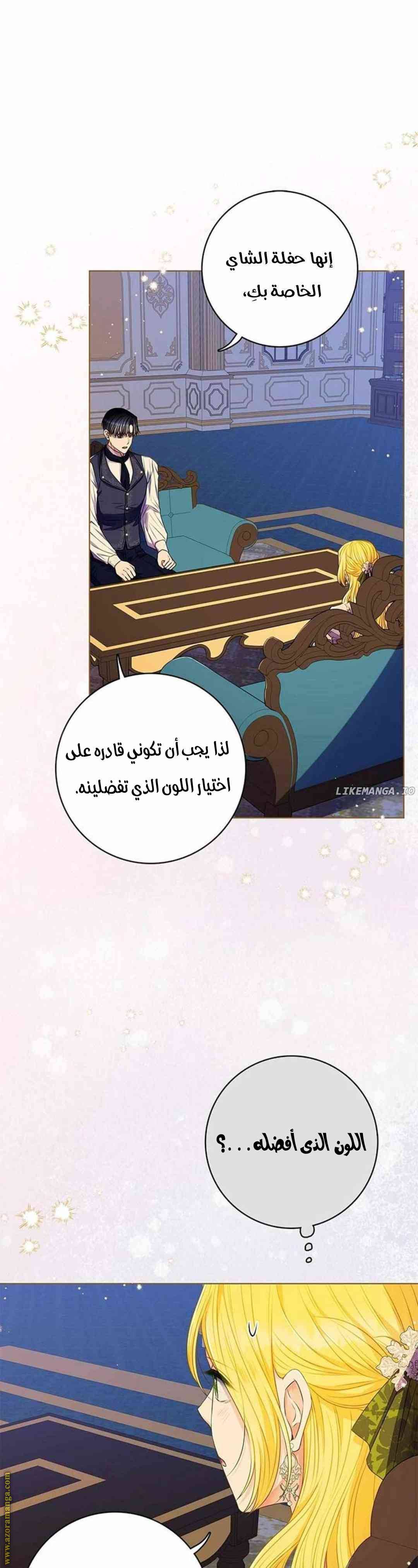 الصفحة 13