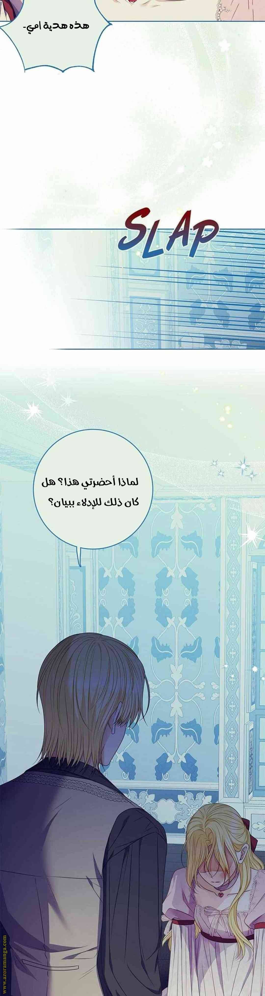 الصفحة 27