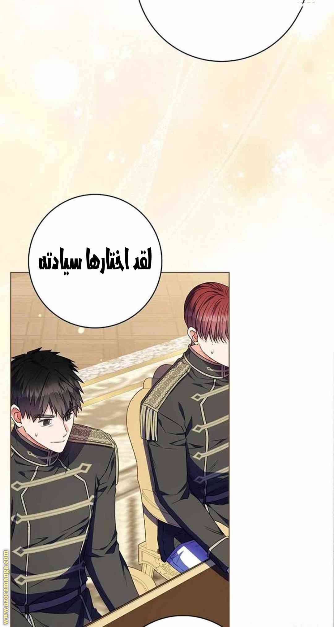 الصفحة 48