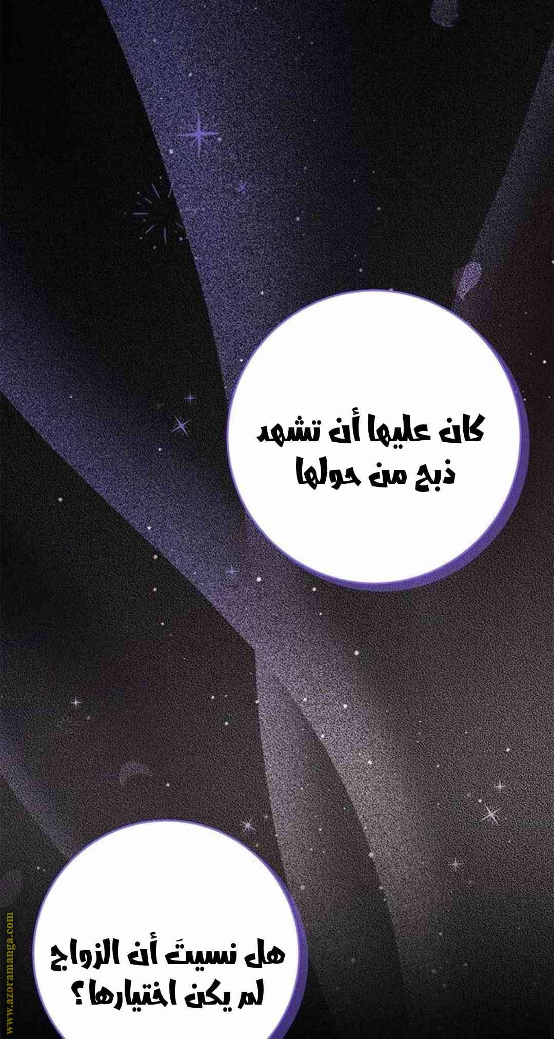 الصفحة 52