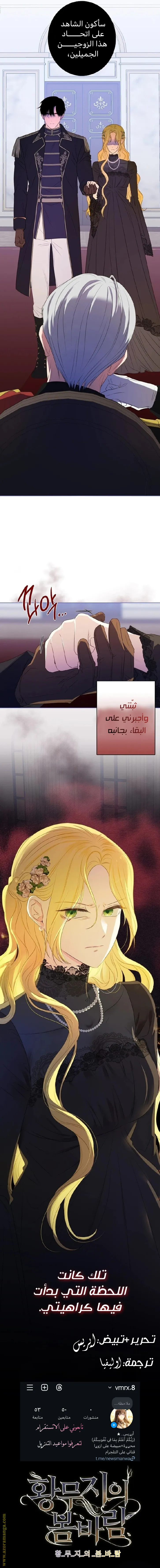 الصفحة 19