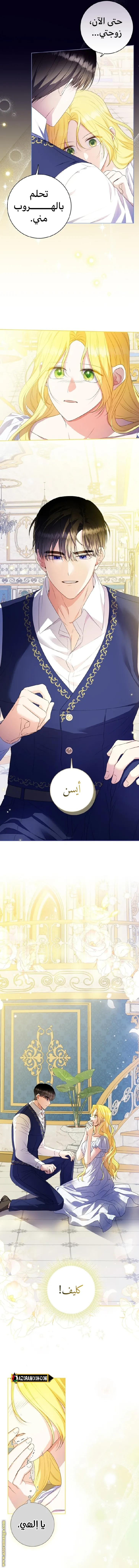 الصفحة 5