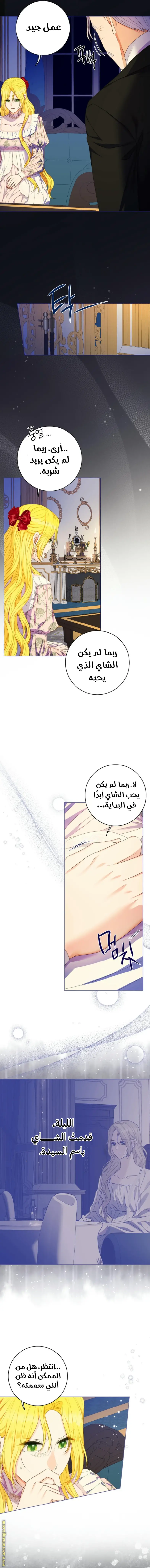 الصفحة 12